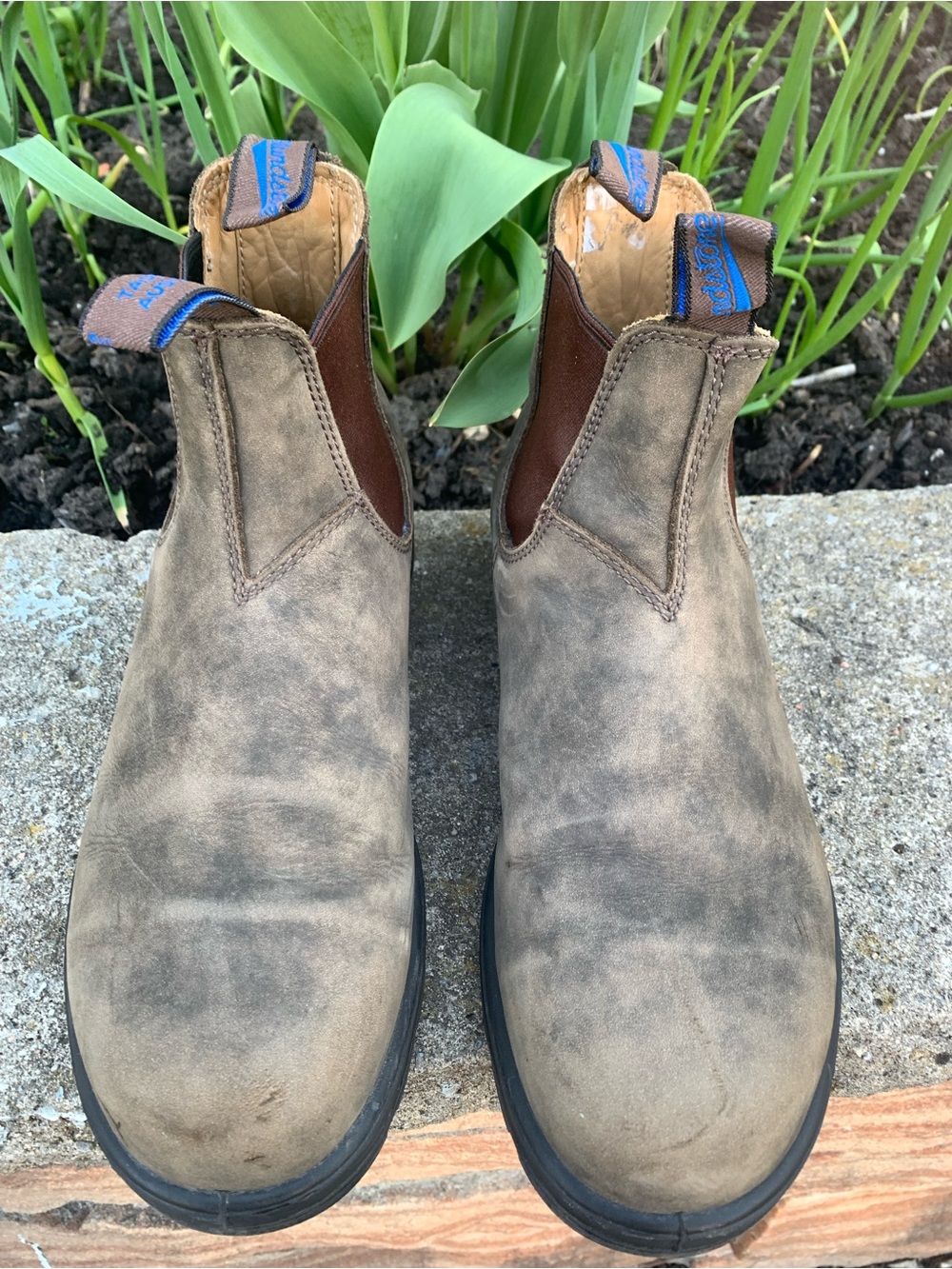 Blundstone Leather Chukka Boots w/ Blue Pull Tabs
AU/UK-7 ; US M8/US W10